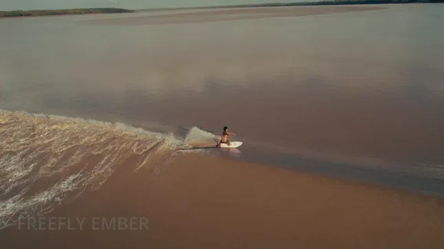 WALES DRONE REEL