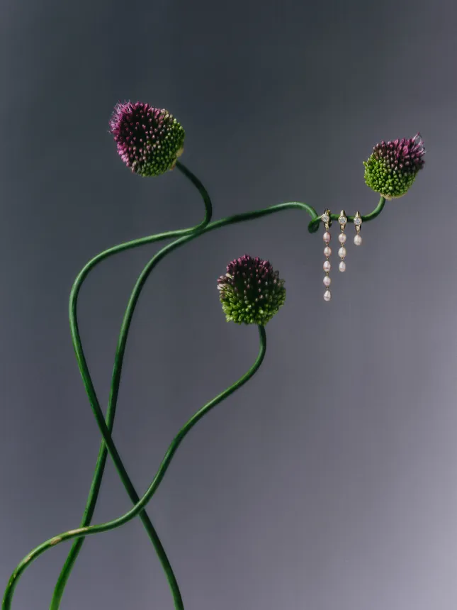 Uniform Object - Still Life