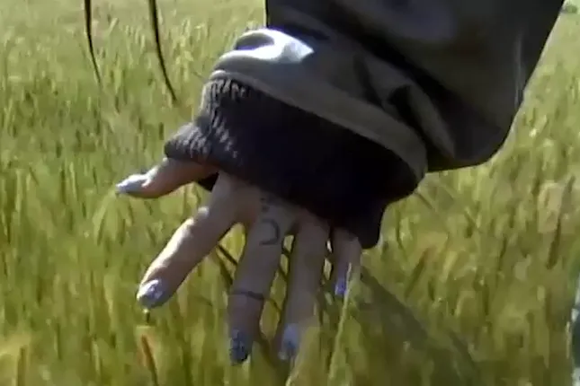 Siberia Hills 2023