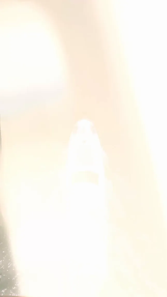 Yacht Party coverage