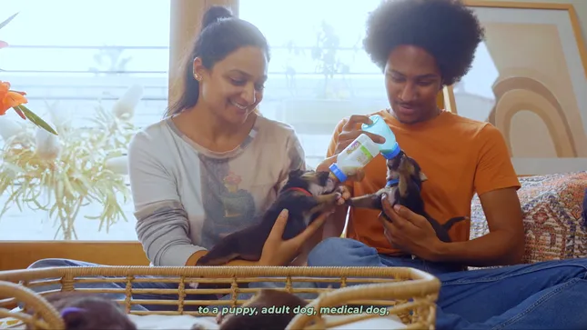 The Labelle Foundation (commercial doc)