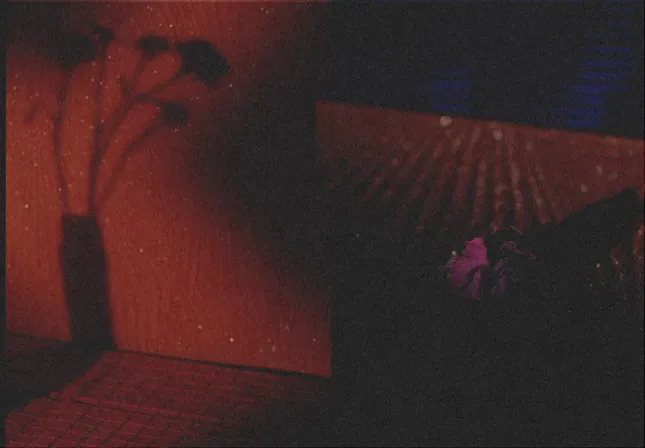 Product and Still Life Set Design