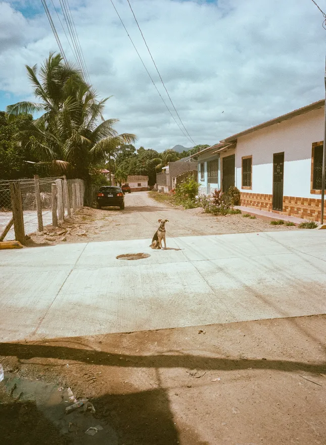 Project image