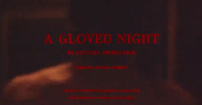 A Gloved Night