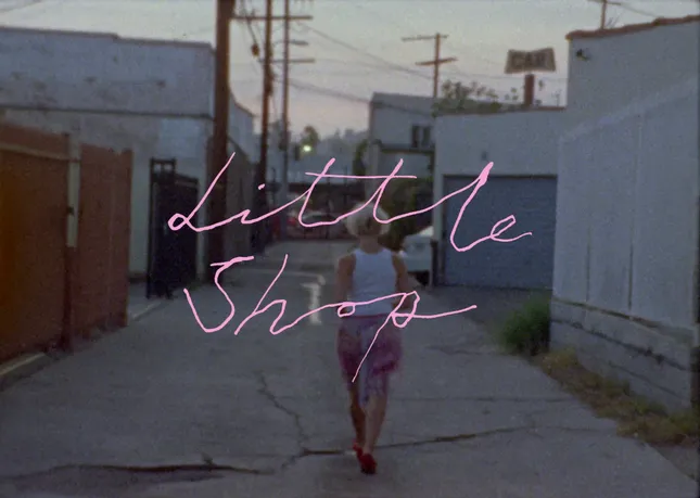 Little Shop