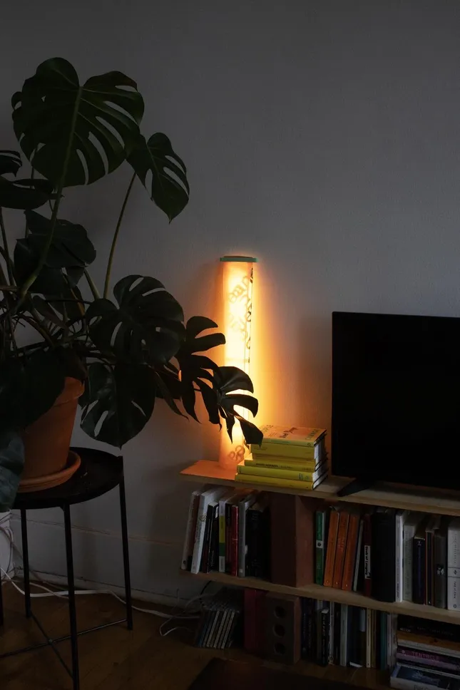 Noodle Lamp