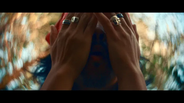 The Necklace