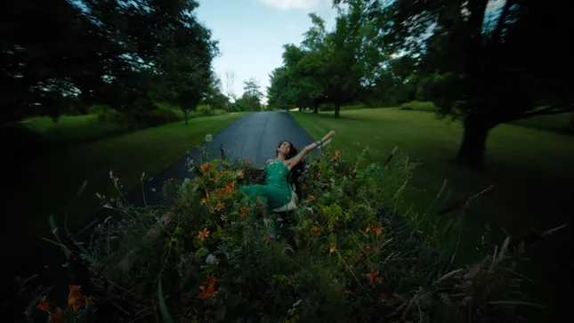 Where The Butterflies Went: A Raveena Album Film