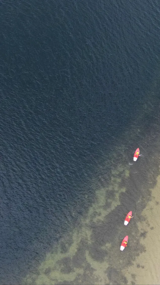 Lake activities 🚣