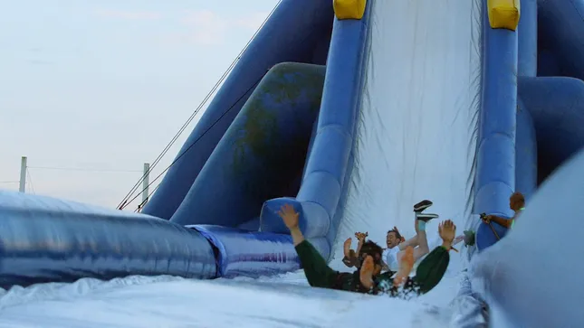 MUMFORD & SONS "Wolf"