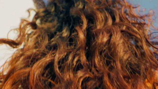 CURLSMITH