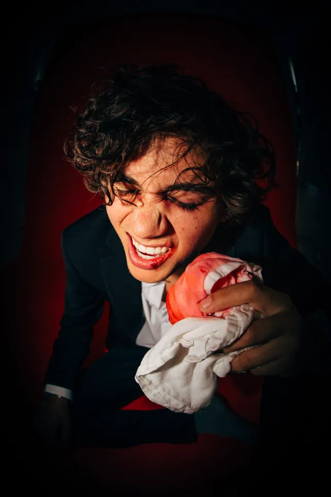 Sucker Punch Single Album Cover + Promotional Package