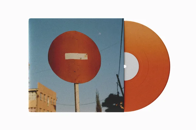 “ Sign Of the Times “ Vinyl ( Concept )