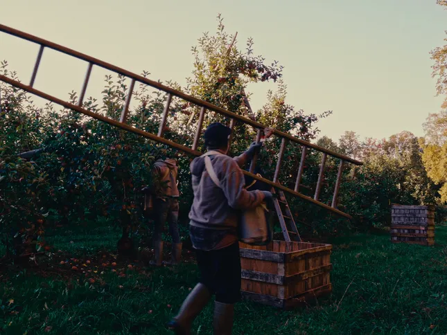 Postcards from Sunrise Orchards, Vermont