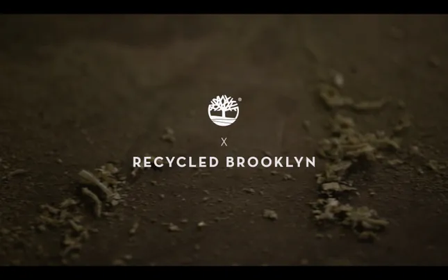 Timberland — Guide to the Modern Trail