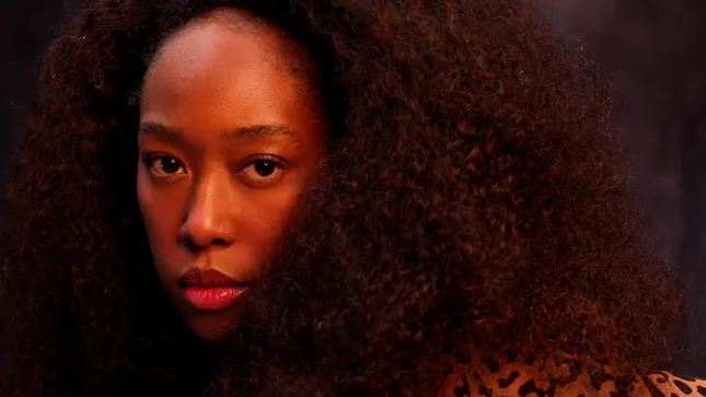 SELF PORTRAIT VISUALIZER