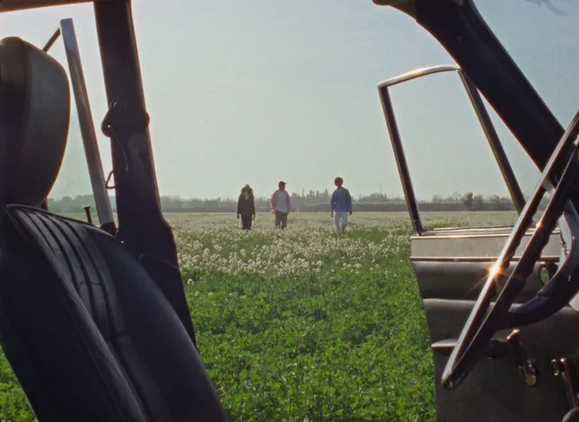 The Roadtrip by Whitman