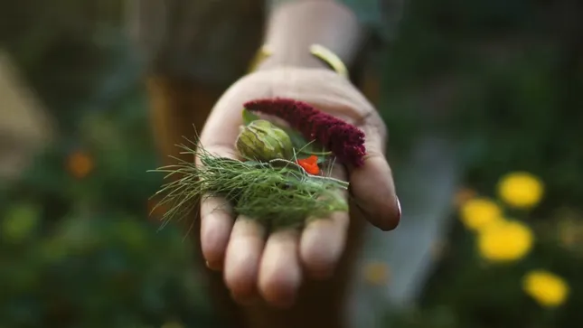 Regenerative Gardening Trailer