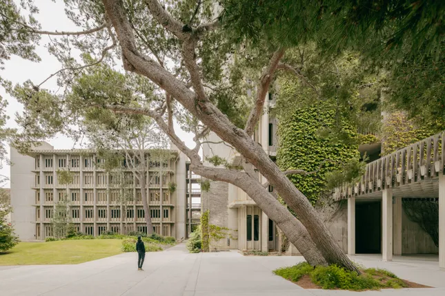 UCSD Departments of Mathematics