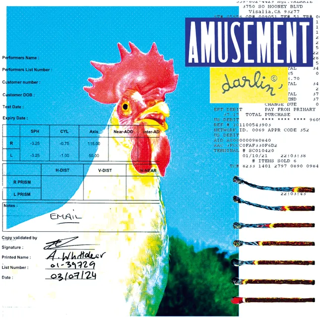 AMUSEMENT DARLIN’- PERSONAL PROJECT