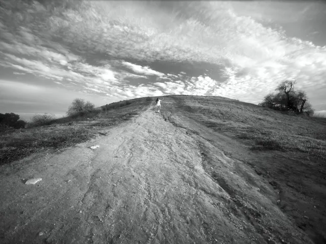 The Hill I Die On