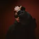 VP  Avatar