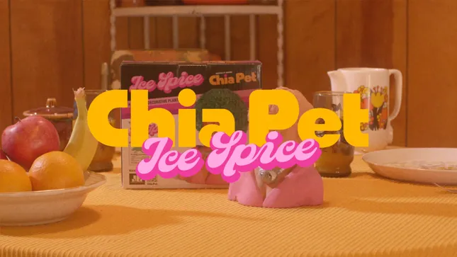 Chia Pet x Ice Spice