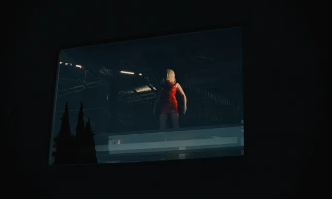 Project image