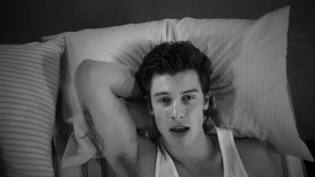 Shawn Mendes - If I Can't Have You