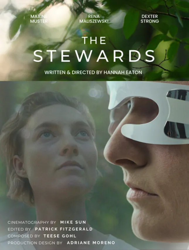 The Stewards