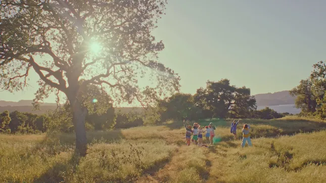 Camp Hammies Summer Campaign
