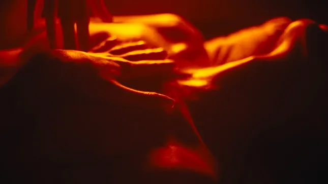 Split (Fashion Short)