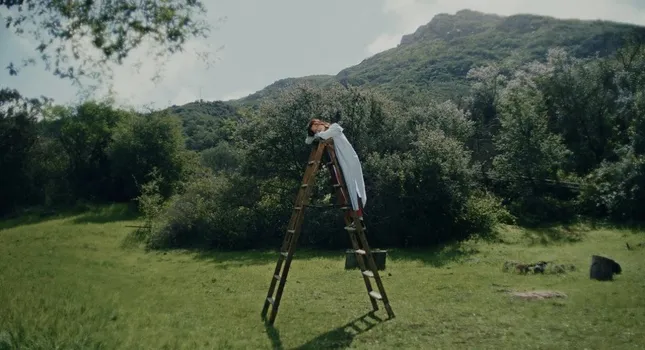 “down from the high” - Dylan Conrique