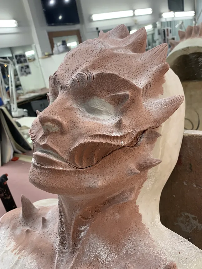 Project image