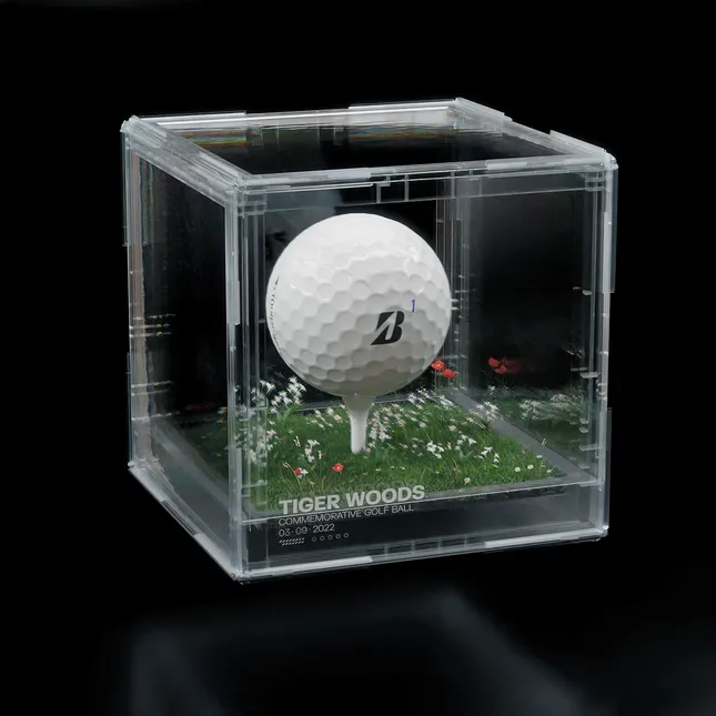 Tiger Woods: Hall of Fame