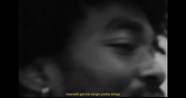 “prettywngs” (2024)