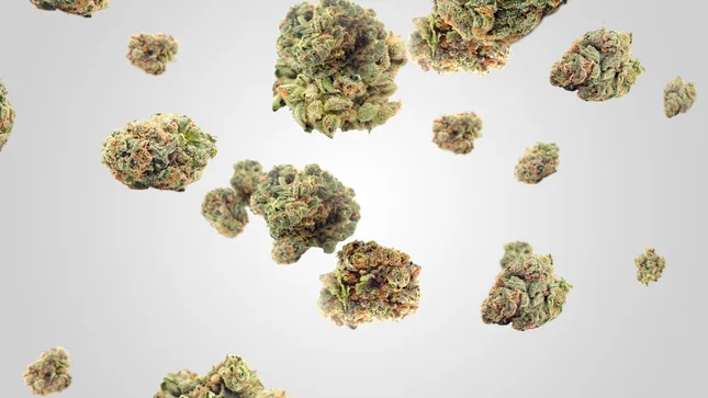PharmaCann - matter.lite Promos