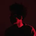 MS  Avatar