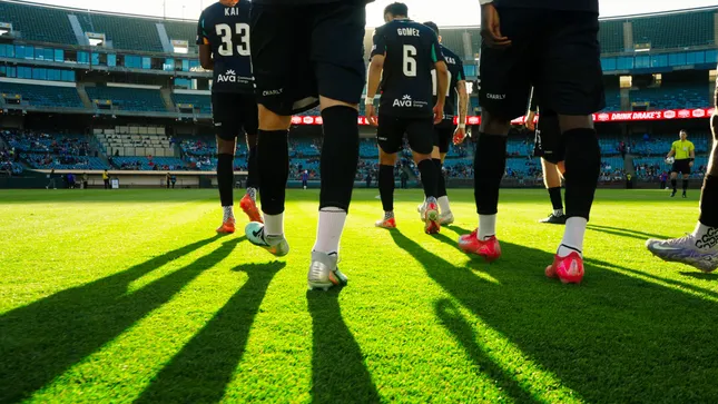 Oakland Roots Visual - Instagram Reel