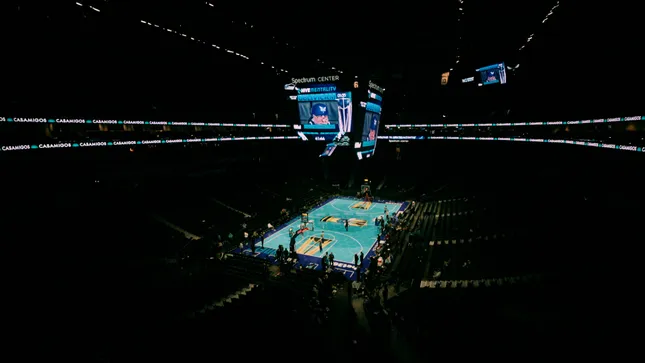 Hornets in game moments