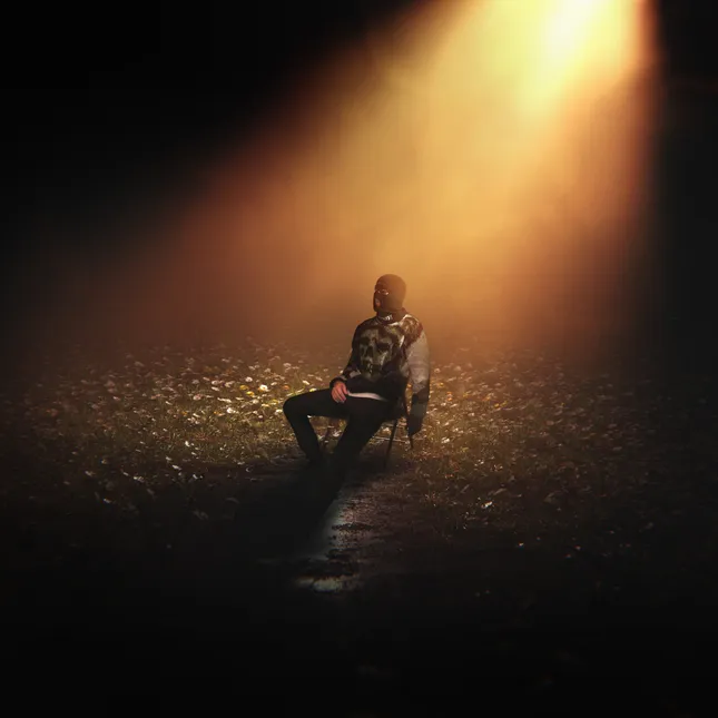 Looking Inside - A7X