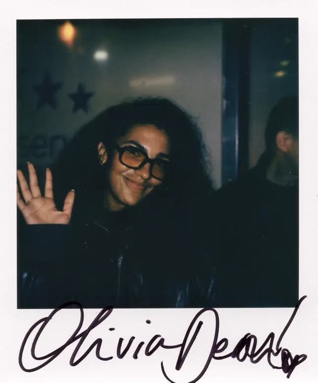 Polaroids (Musicians)