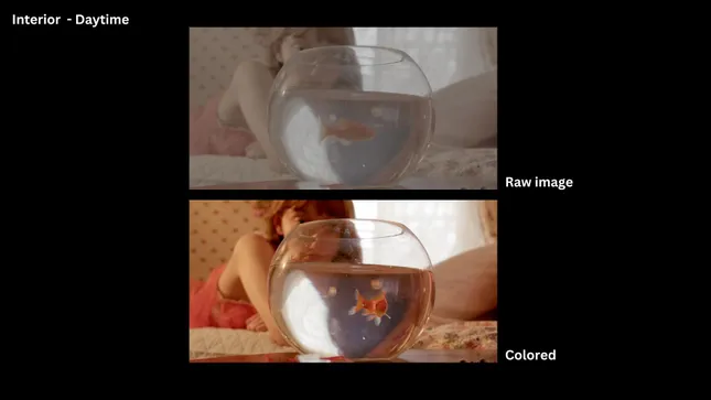 Project image