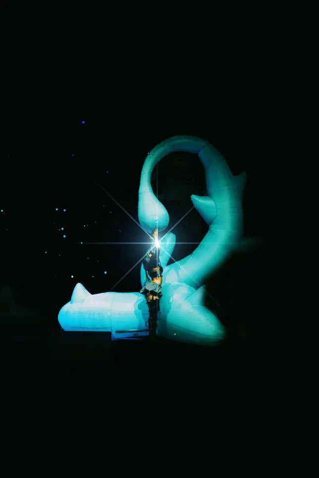 Project image