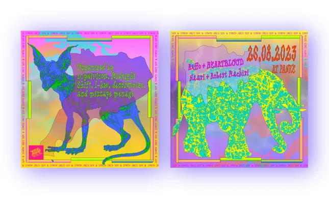 Project image