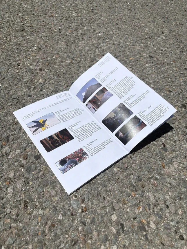 Project image
