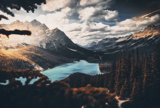 Visual Art | Parallax Effect