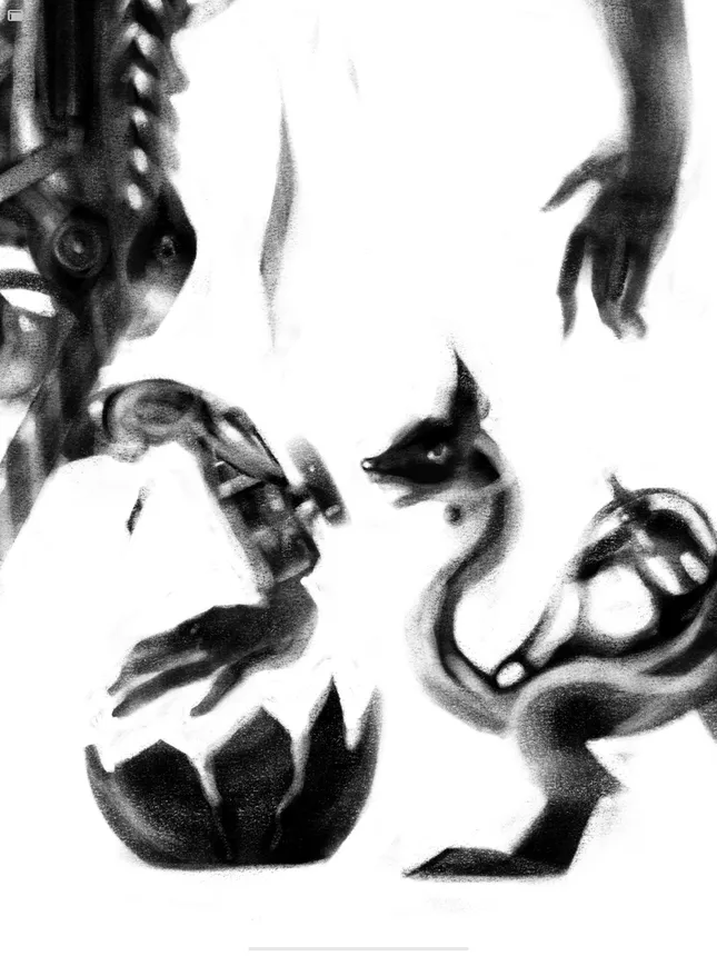 Project image