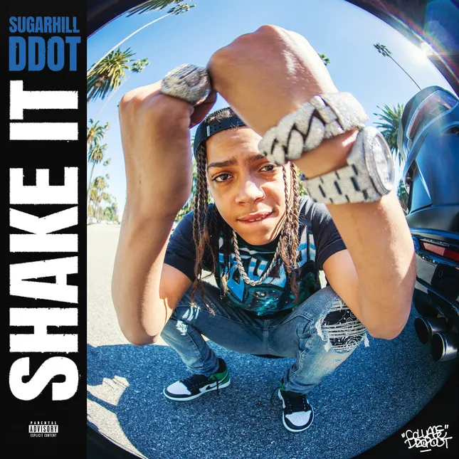 Shake It - SugarHill DDot
