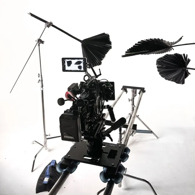 Project image